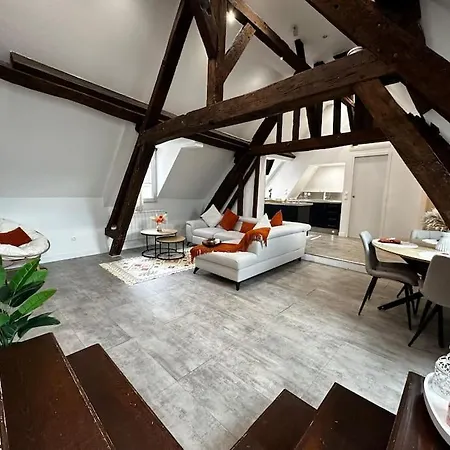 Ferienwohnung Charme, Poutres Et Elegance Chartres Exterior foto