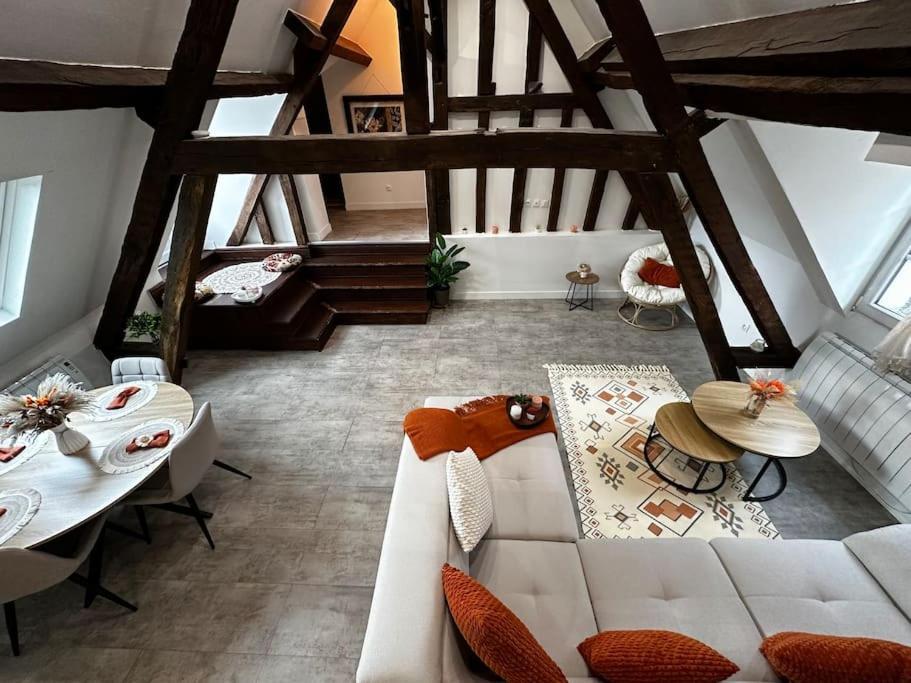 Apartment Charme, Poutres Et Elegance Chartres