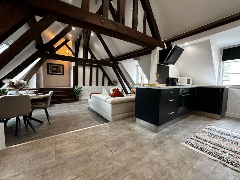 Charme, Poutres Et Elegance Apartment
