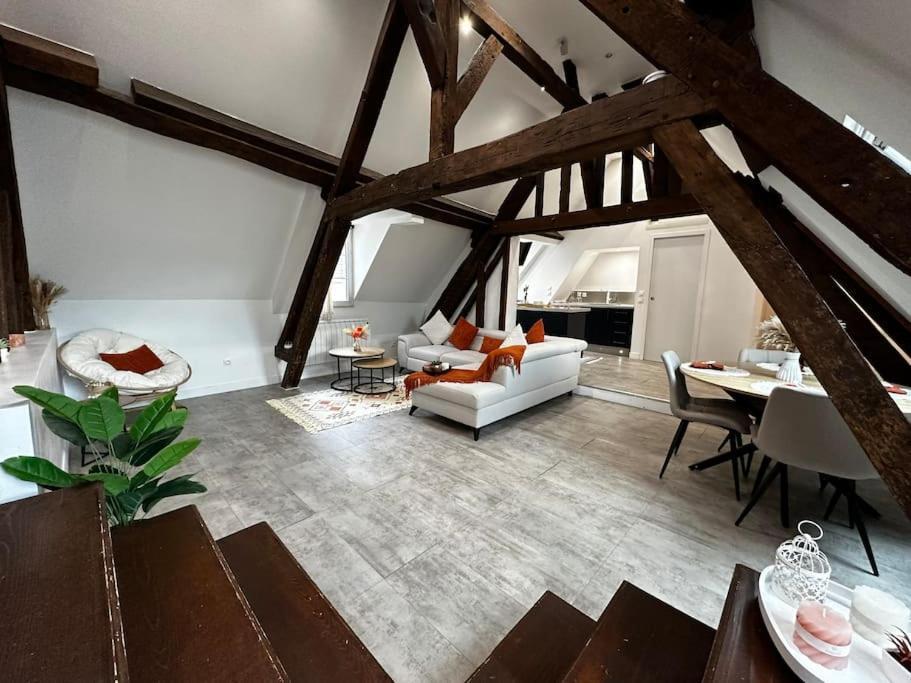 Apartment Charme, Poutres Et Elegance Chartres